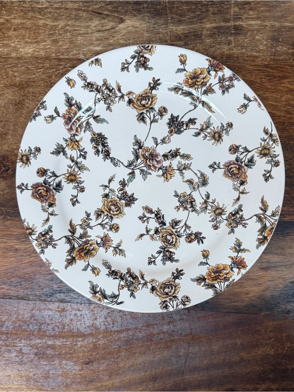 Sur La Table Cream Dinner Plates with Brown Floral Vine Pattern - Set of 3
